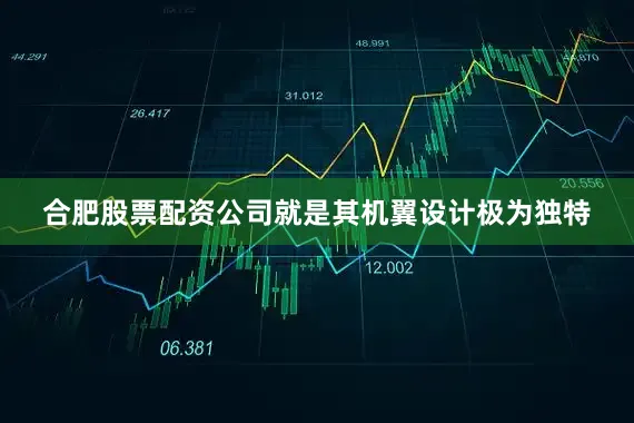 合肥股票配资公司就是其机翼设计极为独特